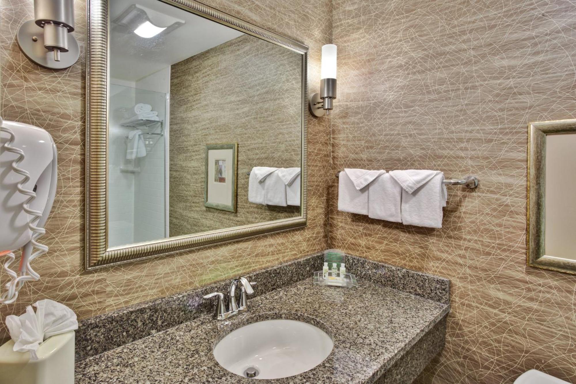 Holiday Inn Detroit Metro Airport By Ihg Romulus Exterior photo