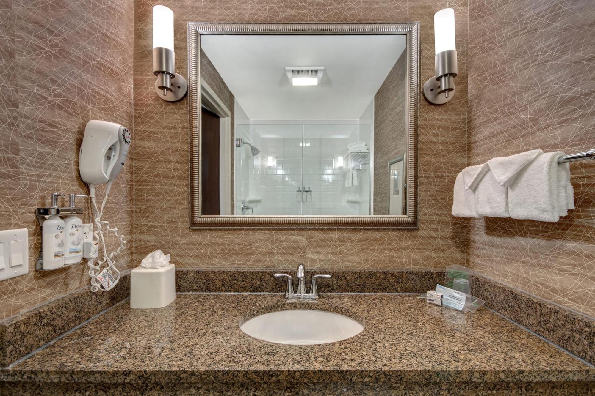 Holiday Inn Detroit Metro Airport By Ihg Romulus Exterior photo